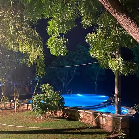 Amaltas Villa Udaipur Ngoại thất bức ảnh