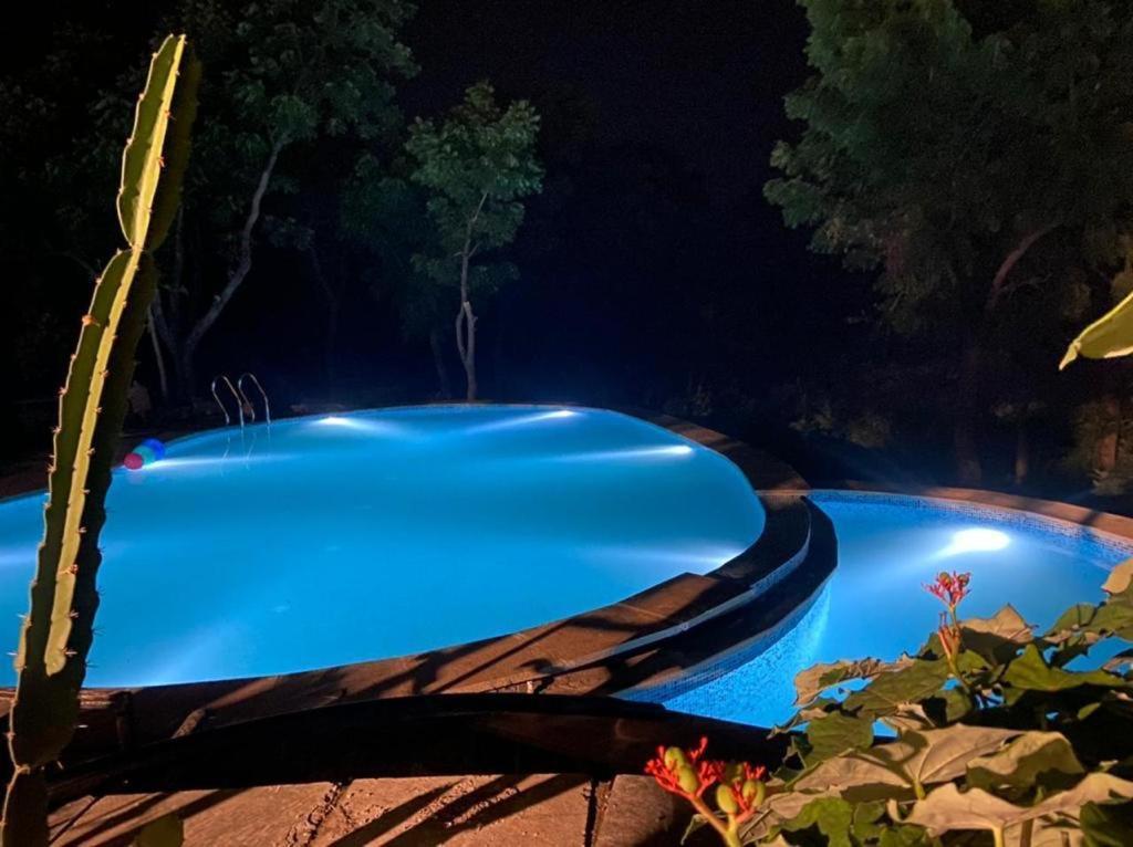 Amaltas Villa Udaipur Ngoại thất bức ảnh
