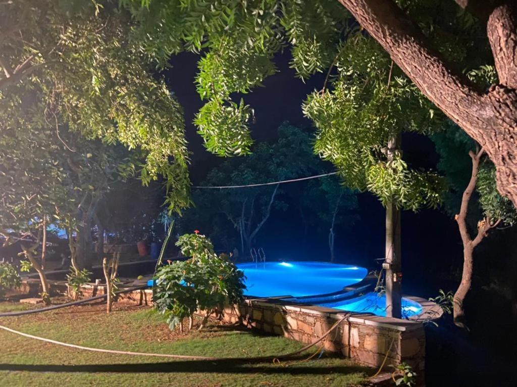 Amaltas Villa Udaipur Ngoại thất bức ảnh